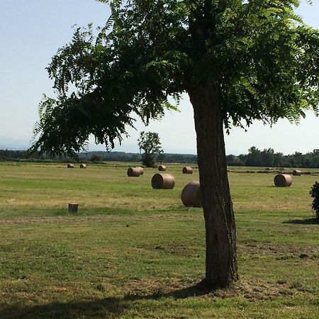 Location Gite 4 Personnes Mazeres - La Petite Maison Zewnętrze zdjęcie
