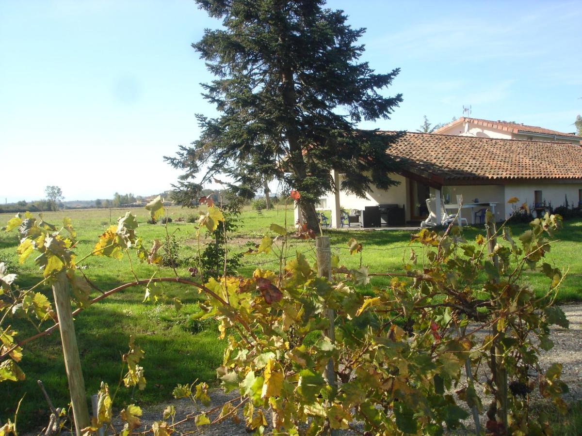 Location Gite 4 Personnes Mazeres - La Petite Maison Zewnętrze zdjęcie