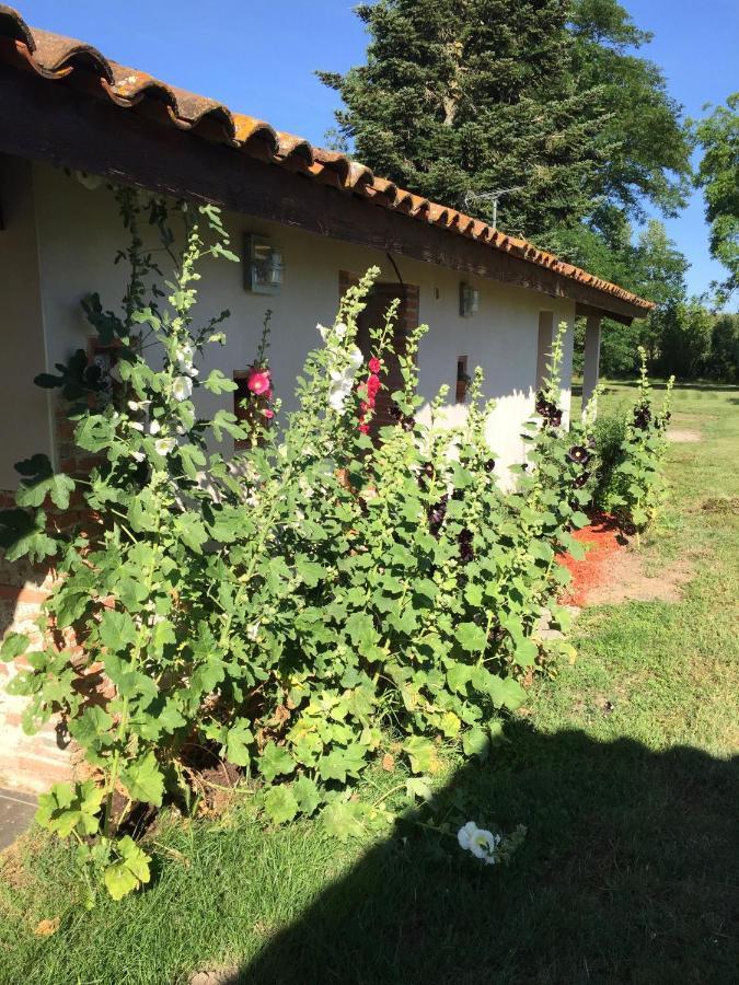 Location Gite 4 Personnes Mazeres - La Petite Maison Zewnętrze zdjęcie