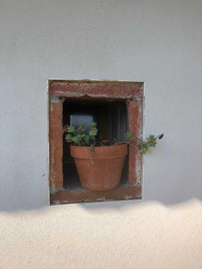 Location Gite 4 Personnes Mazeres - La Petite Maison Zewnętrze zdjęcie