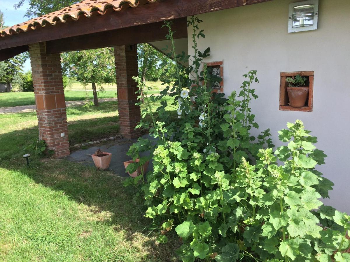 Location Gite 4 Personnes Mazeres - La Petite Maison Zewnętrze zdjęcie