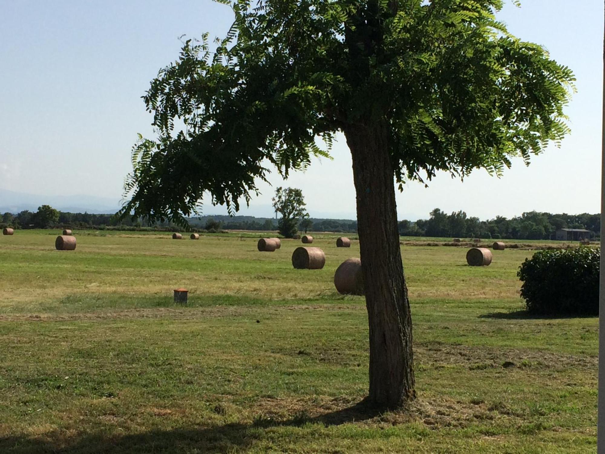 Location Gite 4 Personnes Mazeres - La Petite Maison Zewnętrze zdjęcie